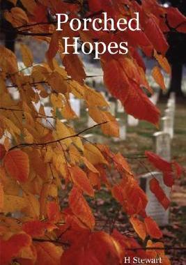 【预售】Porched Hopes