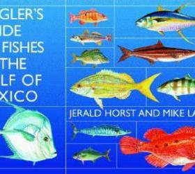 【预售】Angler's Guide to Fishes of the Gulf of Mexico