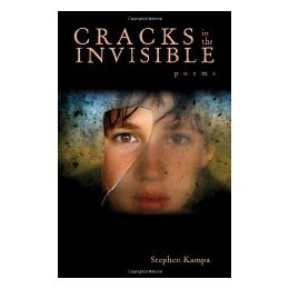 【预售】Cracks in the Invisible
