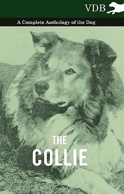 【预售】The Collie - A Complete Anthology of the Dog -