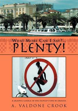 【预售】What More Can I Say? . . . Plenty!: A Graphic Mosaic