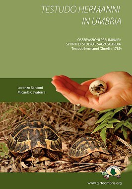 【预售】Testudo Hermanni in Umbria