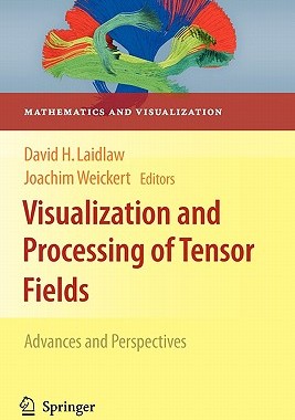 【预售】Visualization and Processing of Tensor Fields:
