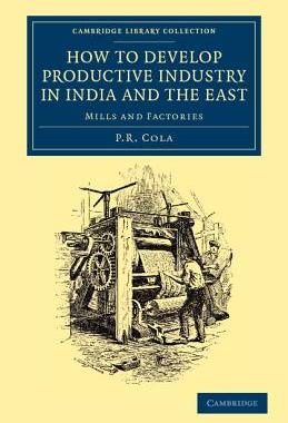 【预售】How to Develop Productive Industry in India and the