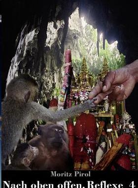 【预售】Nach Oben Offen. Reflexe 4