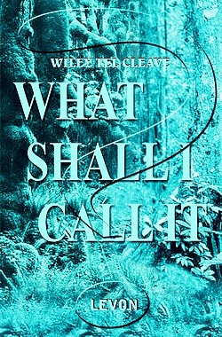 【预售】What Shall I Call It?: Levon