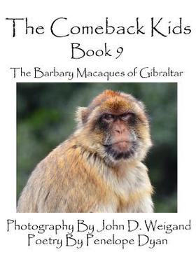 【预售】The Comeback Kids -- Book 9 -- The Barbary Macaques