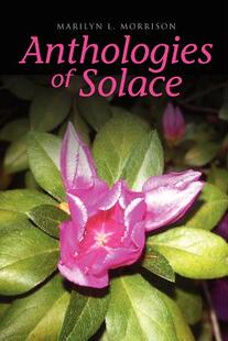 【预售】Anthologies of Solace