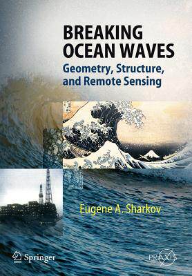 【预售】Breaking Ocean Waves: Geometry, Structure and Remote