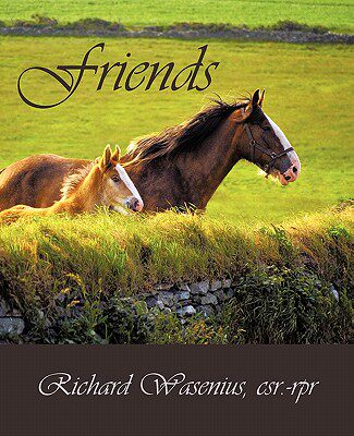 【预售】Friends