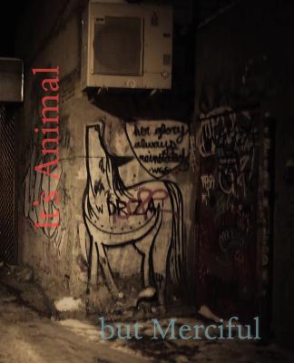 美国库房发货，通常付款后5-8周到货！