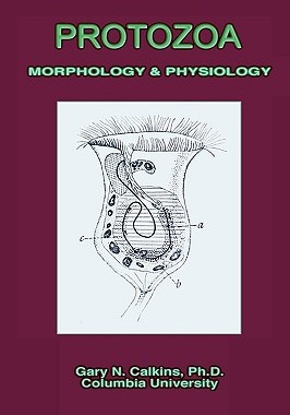 【预售】Protozoa Morphology & Physiology (Microbiology