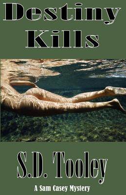 【预售】Destiny Kills
