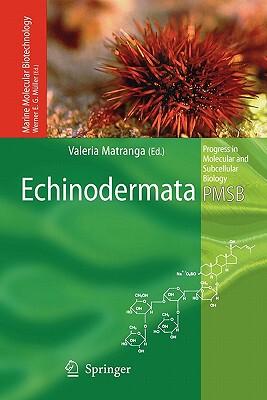 【预售】Echinodermata