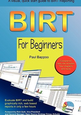 【预售】Birt for Beginners