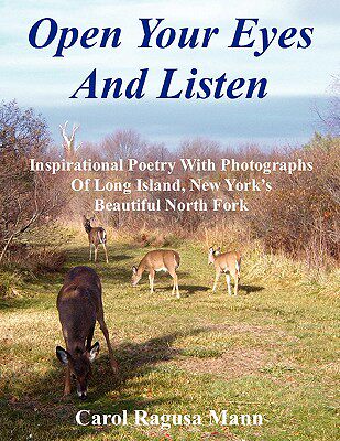 【预售】Open Your Eyes and Listen