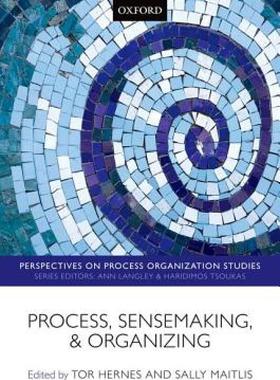 【预售】Process, Sensemaking, and Organizing