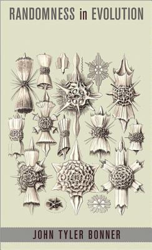 【预售】Randomness in Evolution