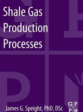 【预售】Shale Gas Production Processes
