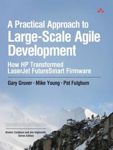 Practical Approach Scale Large Agile 预售