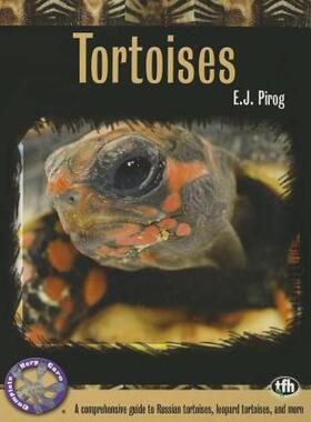 【预售】Tortoises