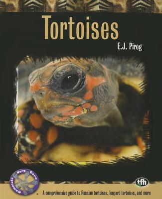 【预售】Tortoises