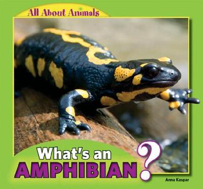 【预售】What's an Amphibian?