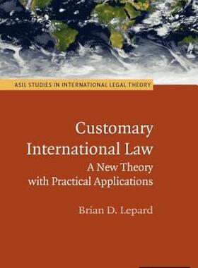 【预售】Customary International Law: A New Theory with