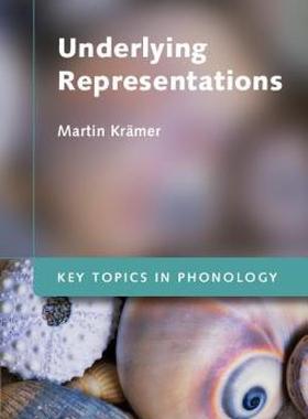 【预售】Underlying Representations