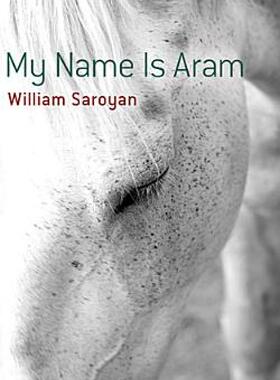 【预售】My Name Is Aram