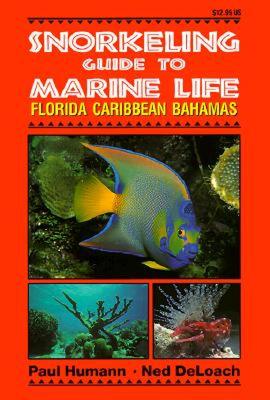 【预售】Snorkeling Guide to Marine Life: Florida, Caribbean