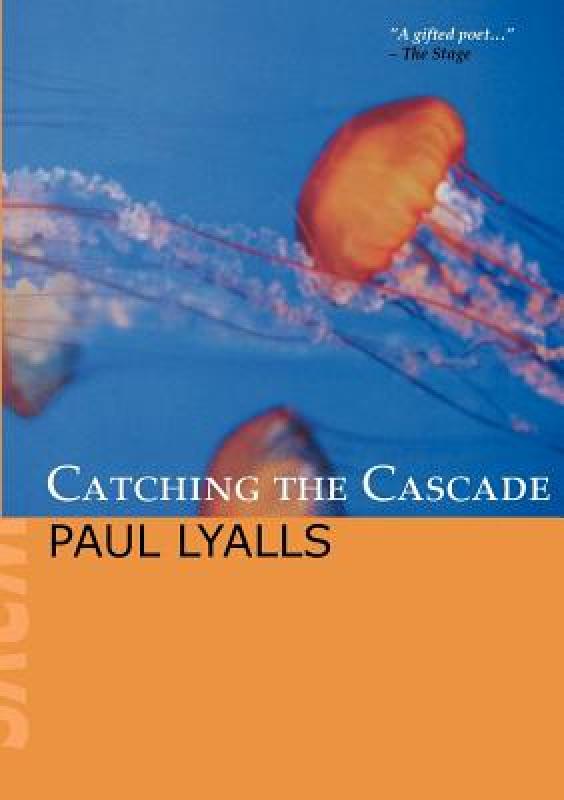 【预售】Catching the Cascade