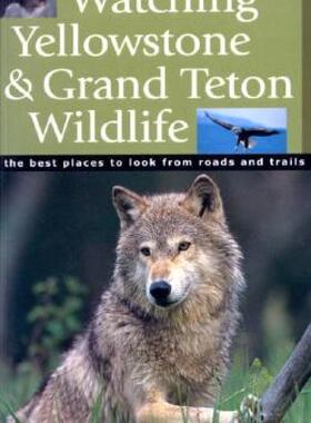 【预售】Watching Yellowstone & Grand Teton Wildlife