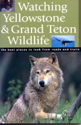 【预售】Watching Yellowstone & Grand Teton Wildlife