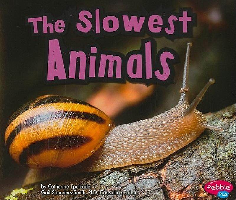 【预售】the slowest animals