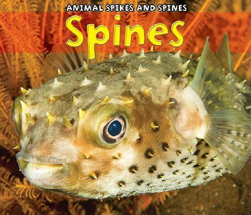 【预售】Spines