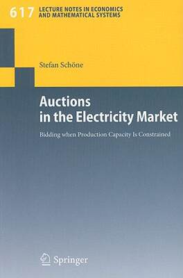 【预售】Auctions in the Electricity Market: Bidding When