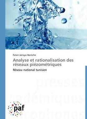 【预售】Analyse Et Rationalisation Des R Seaux Pi Zom