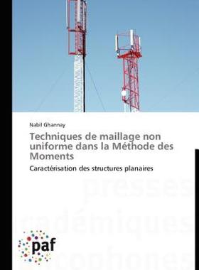 【预售】Techniques de Maillage Non Uniforme Dans La M Thode