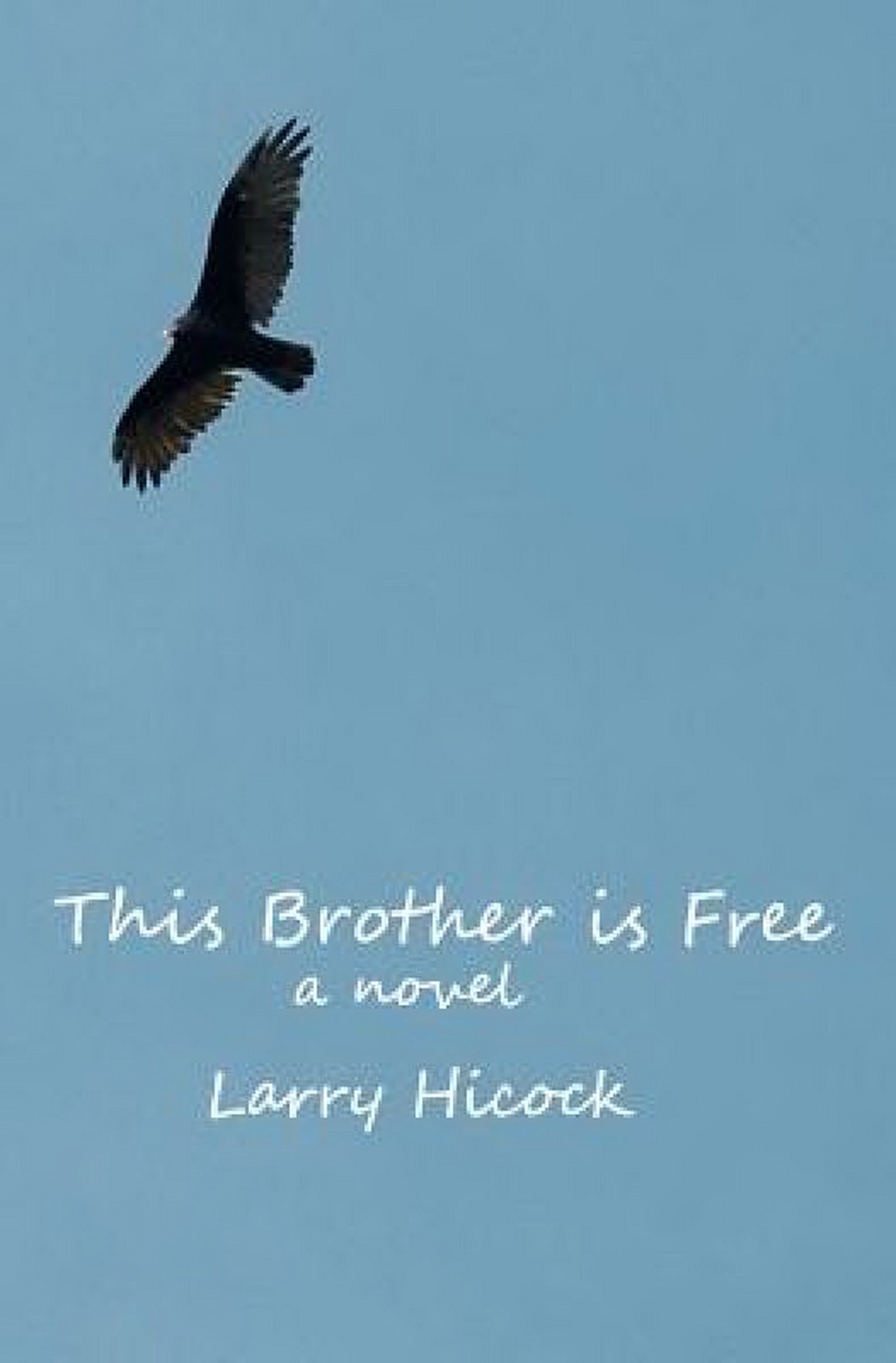 【预售】This Brother Is Free
