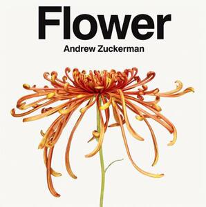【预售】Flower