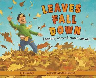 Learning Fall Down Autumn about 预售 Leaves