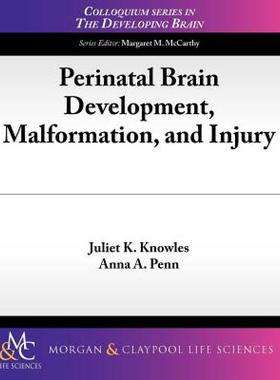 【预售】Perinatal Brain Development, Malformation, and