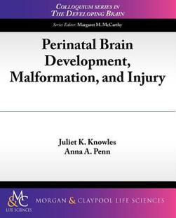 预售 Malformation Perinatal Development and Brain