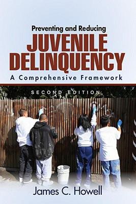 【预售】Preventing and Reducing Juvenile Delinquency: A