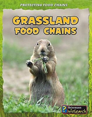 【预售】Grassland Food Chains