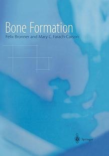 Formation Bone 预售