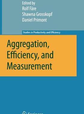 【预售】Aggregation, Efficiency, and Measurement