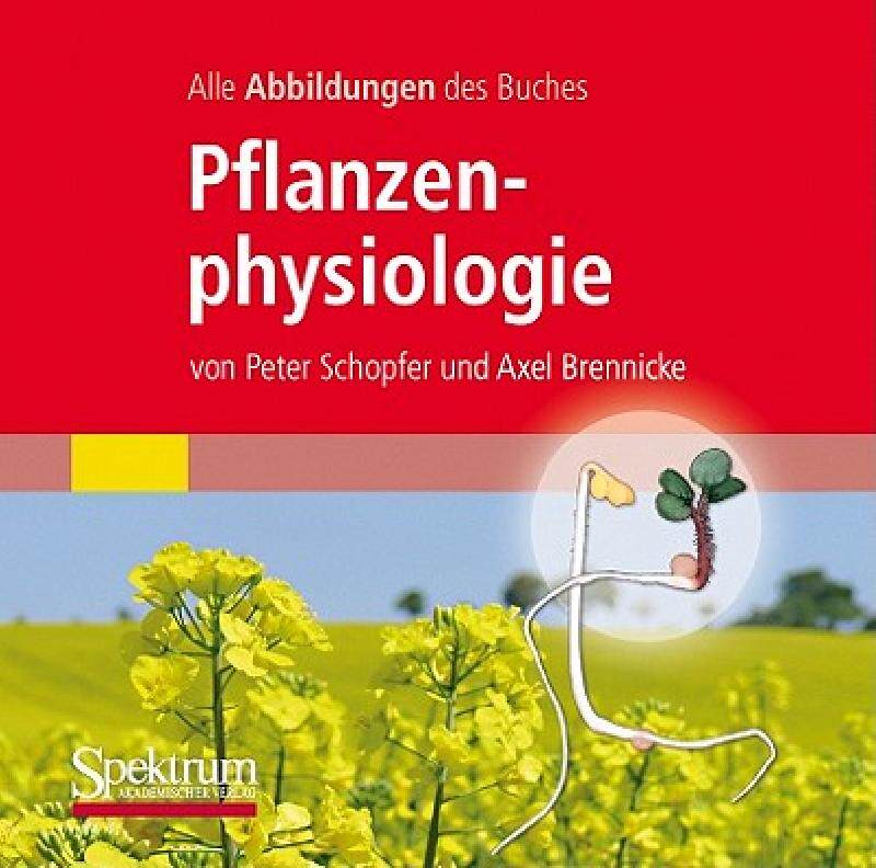 【预售】Alle Grafiken Des Lehrbuchs Pflanzenphysiologie