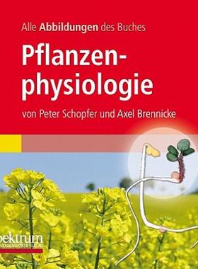 【预售】Alle Grafiken Des Lehrbuchs Pflanzenphysiologie